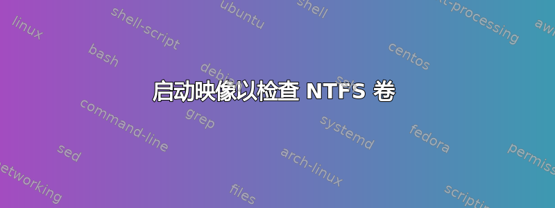 启动映像以检查 NTFS 卷