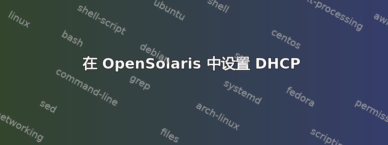 在 OpenSolaris 中设置 DHCP