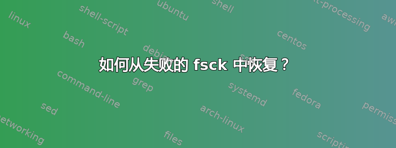 如何从失败的 fsck 中恢复？