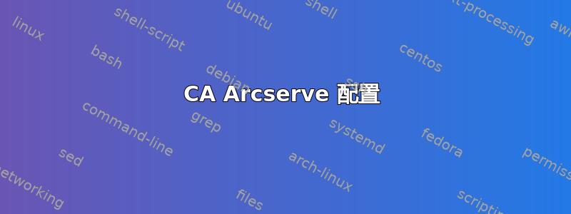 CA Arcserve 配置