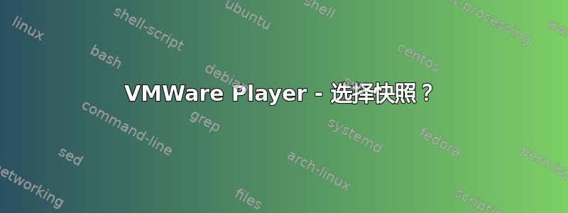 VMWare Player - 选择快照？