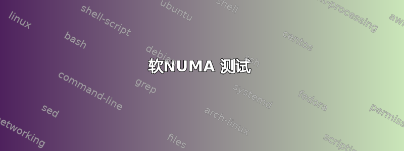 软NUMA 测试