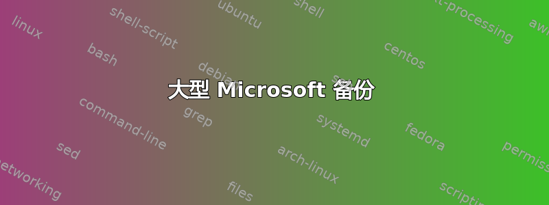 大型 Microsoft 备份