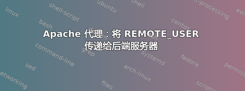 Apache 代理：将 REMOTE_USER 传递给后端服务器