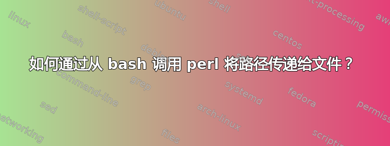 如何通过从 bash 调用 perl 将路径传递给文件？