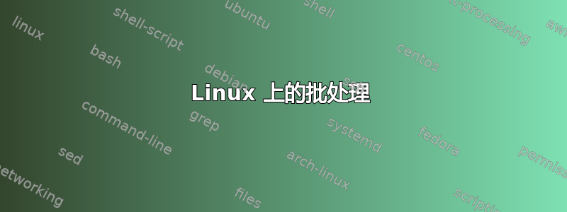 Linux 上的批处理