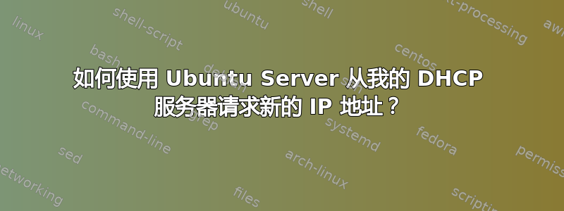 如何使用 Ubuntu Server 从我的 DHCP 服务器请求新的 IP 地址？