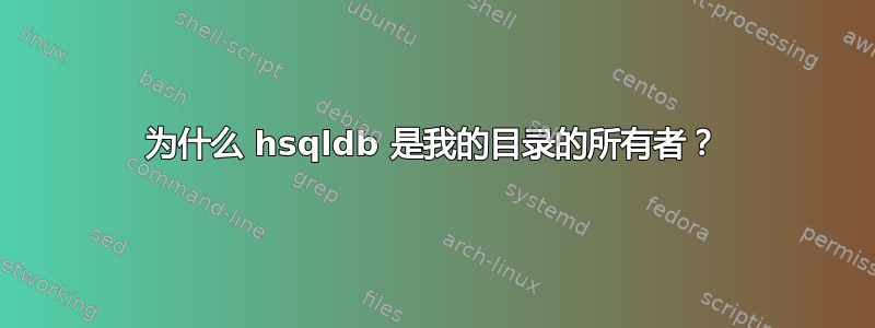 为什么 hsqldb 是我的目录的所有者？