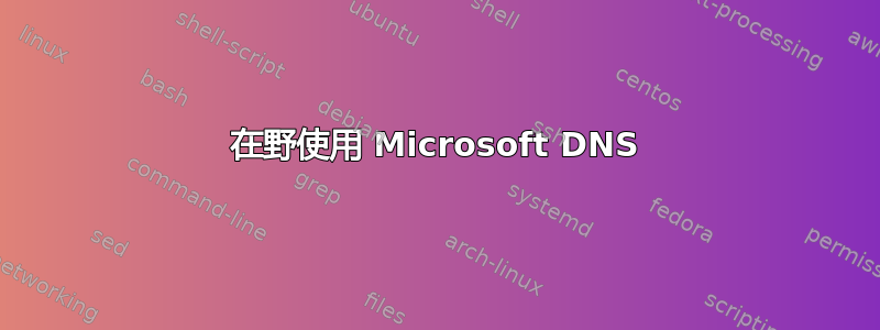 在野使用 Microsoft DNS