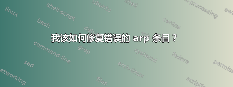 我该如何修复错误的 arp 条目？