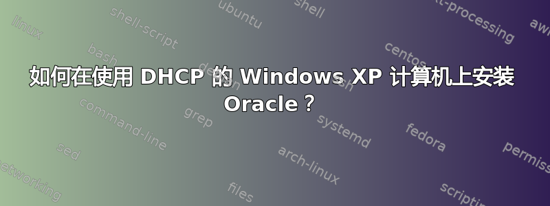 如何在使用 DHCP 的 Windows XP 计算机上安装 Oracle？