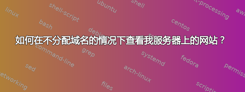 如何在不分配域名的情况下查看我服务器上的网站？