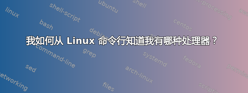 我如何从 Linux 命令行知道我有哪种处理器？