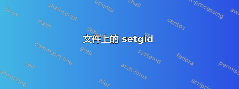 文件上的 setgid