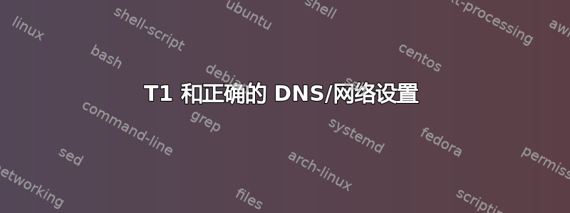 T1 和正确的 DNS/网络设置