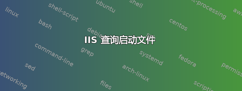 IIS 查询启动文件