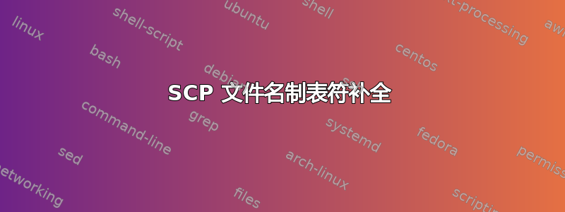 SCP 文件名制表符补全