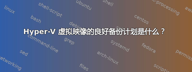 Hyper-V 虚拟映像的良好备份计划是什么？