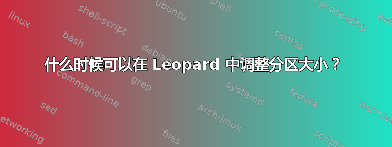 什么时候可以在 Leopard 中调整分区大小？