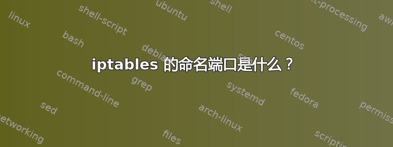 iptables 的命名端口是什么？