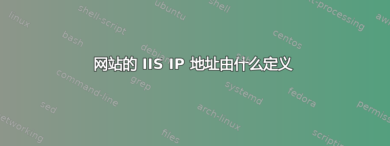 网站的 IIS IP 地址由什么定义