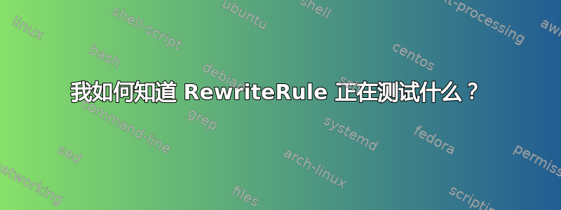 我如何知道 RewriteRule 正在测试什么？