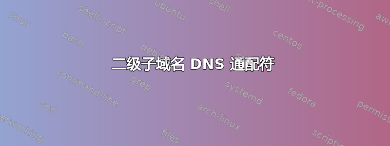 二级子域名 DNS 通配符