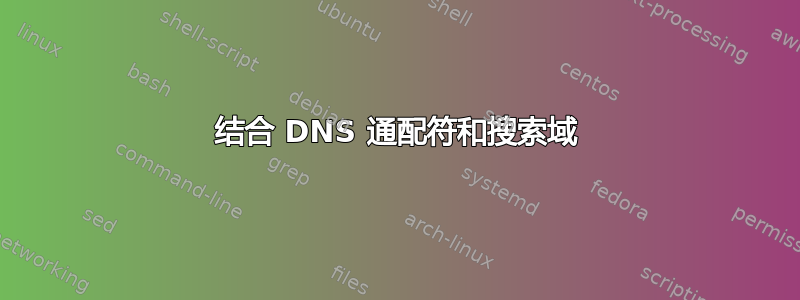 结合 DNS 通配符和搜索域