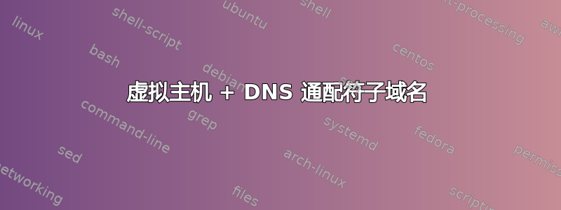 虚拟主机 + DNS 通配符子域名