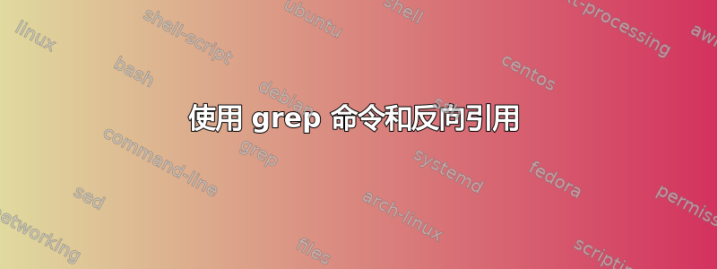 使用 grep 命令和反向引用