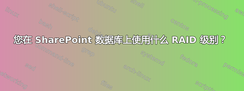 您在 SharePoint 数据库上使用什么 RAID 级别？