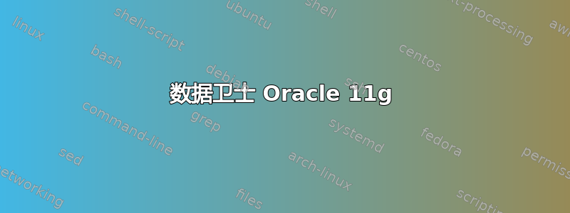 数据卫士 Oracle 11g