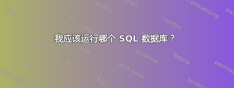 我应该运行哪个 SQL 数据库？