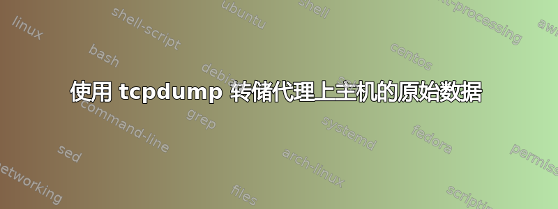 使用 tcpdump 转储代理上主机的原始数据