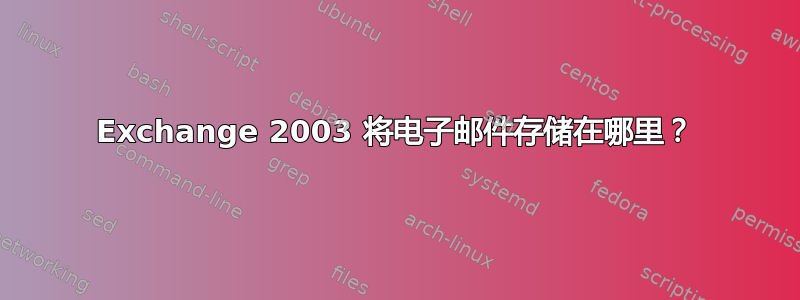 Exchange 2003 将电子邮件存储在哪里？