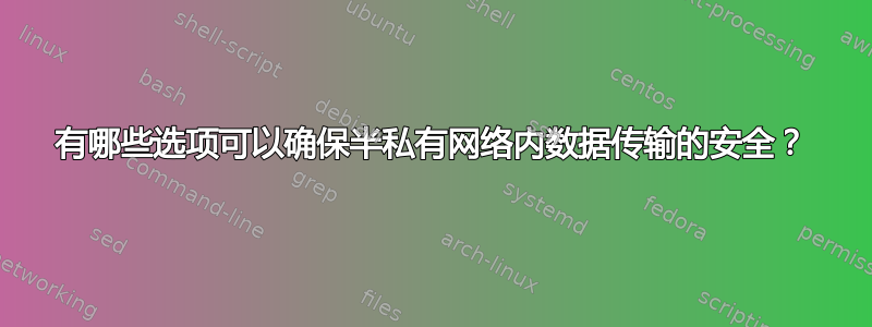 有哪些选项可以确保半私有网络内数据传输的安全？