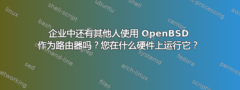 企业中还有其他人使用 OpenBSD 作为路由器吗？您在什么硬件上运行它？