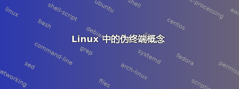 Linux 中的伪终端概念