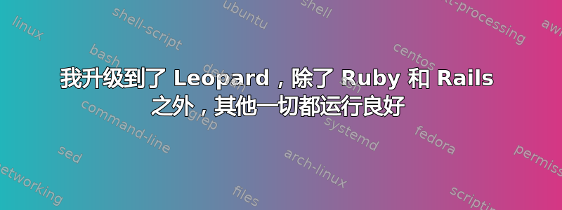 我升级到了 Leopard，除了 Ruby 和 Rails 之外，其他一切都运行良好