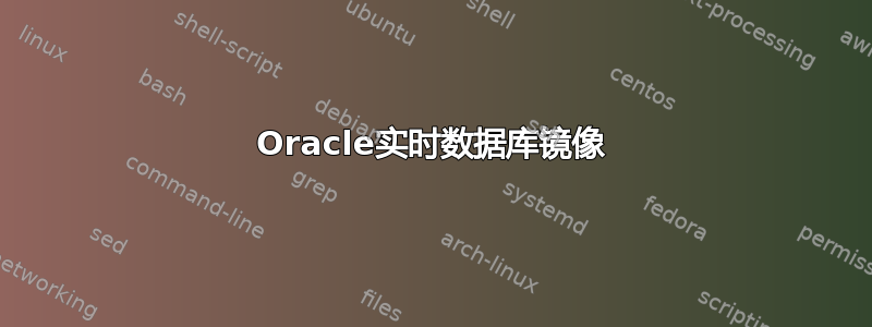 Oracle实时数据库镜像