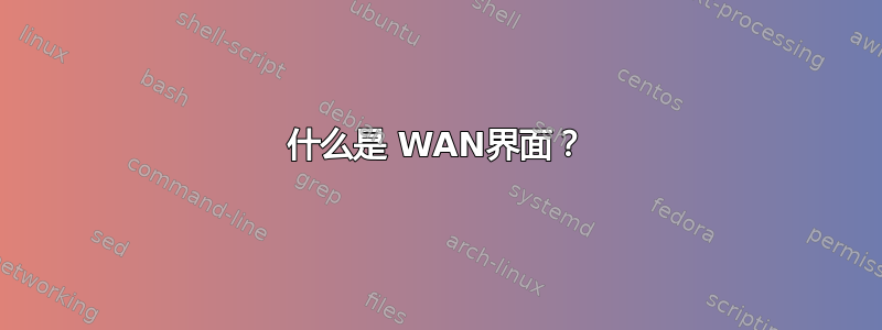 什么是 WAN界面？