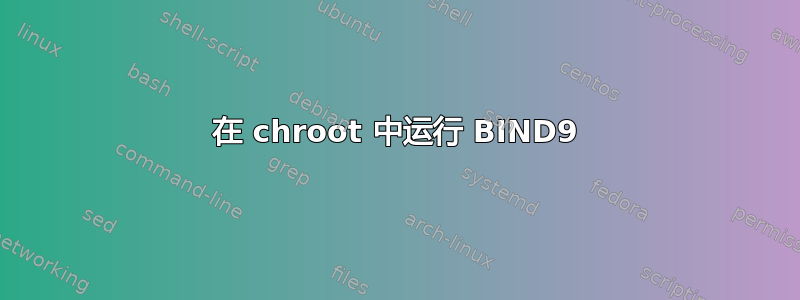 在 chroot 中运行 BIND9