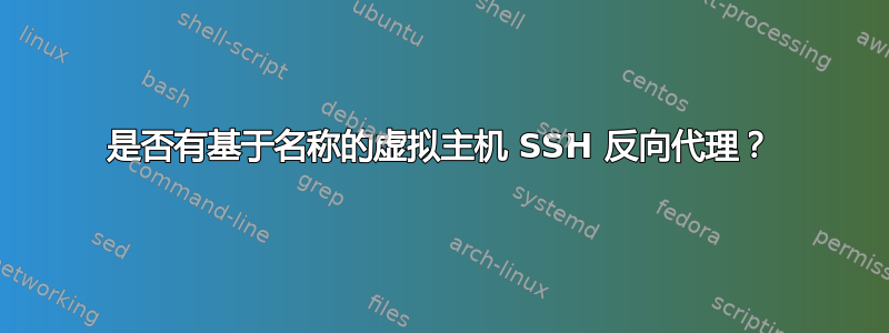 是否有基于名称的虚拟主机 SSH 反向代理？