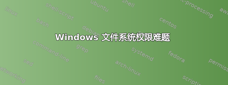 Windows 文件系统权限难题