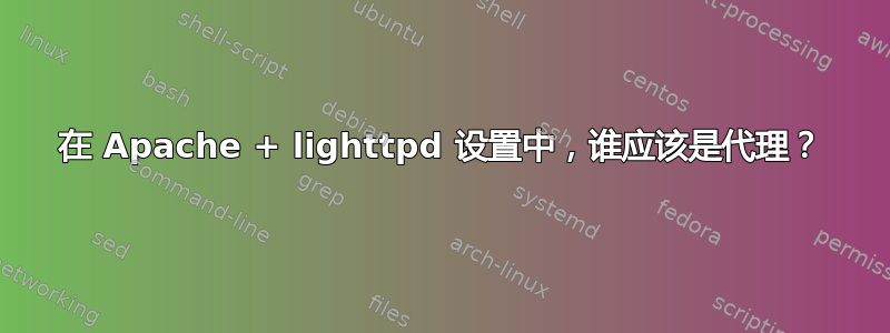 在 Apache + lighttpd 设置中，谁应该是代理？