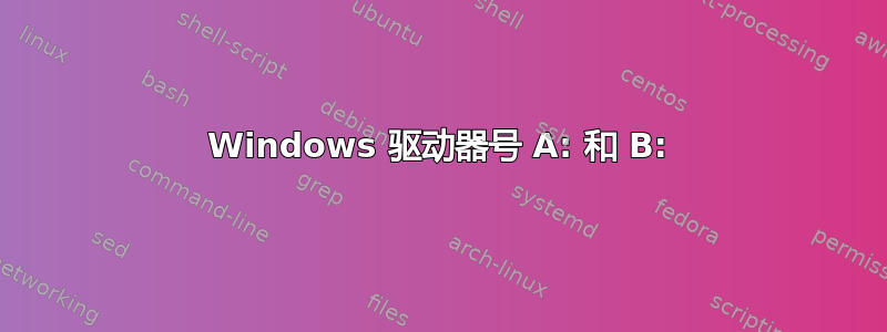 Windows 驱动器号 A: 和 B: