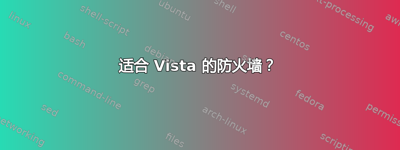 适合 Vista 的防火墙？