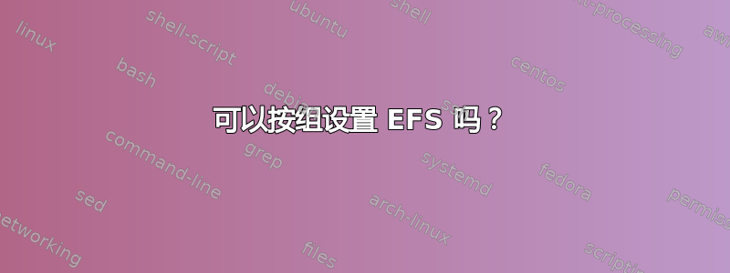 可以按组设置 EFS 吗？