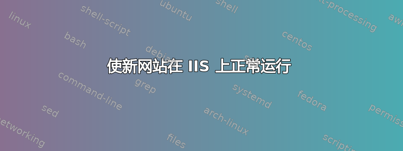 使新网站在 IIS 上正常运行