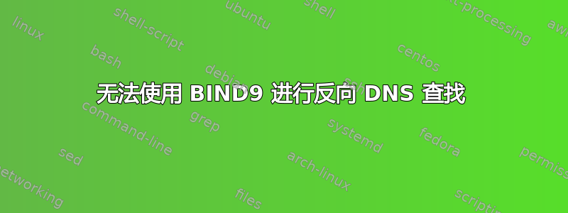 无法使用 BIND9 进行反向 DNS 查找